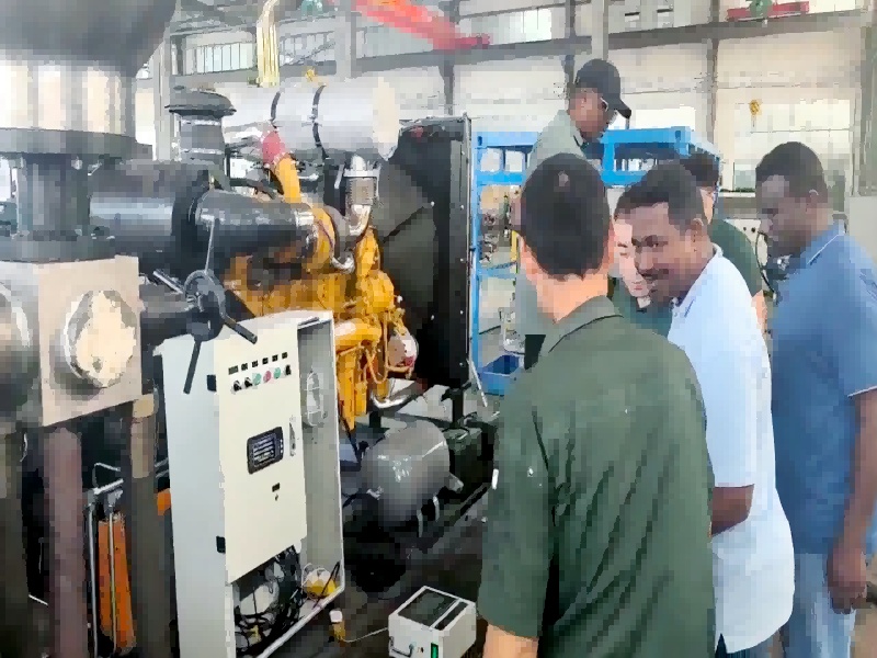 Elephant Machinery celebró con éxito la ceremonia de aceptación de fábrica de las bombas de transferencia de petróleo crudo para Sudan National Petroleum Pipeline Company.